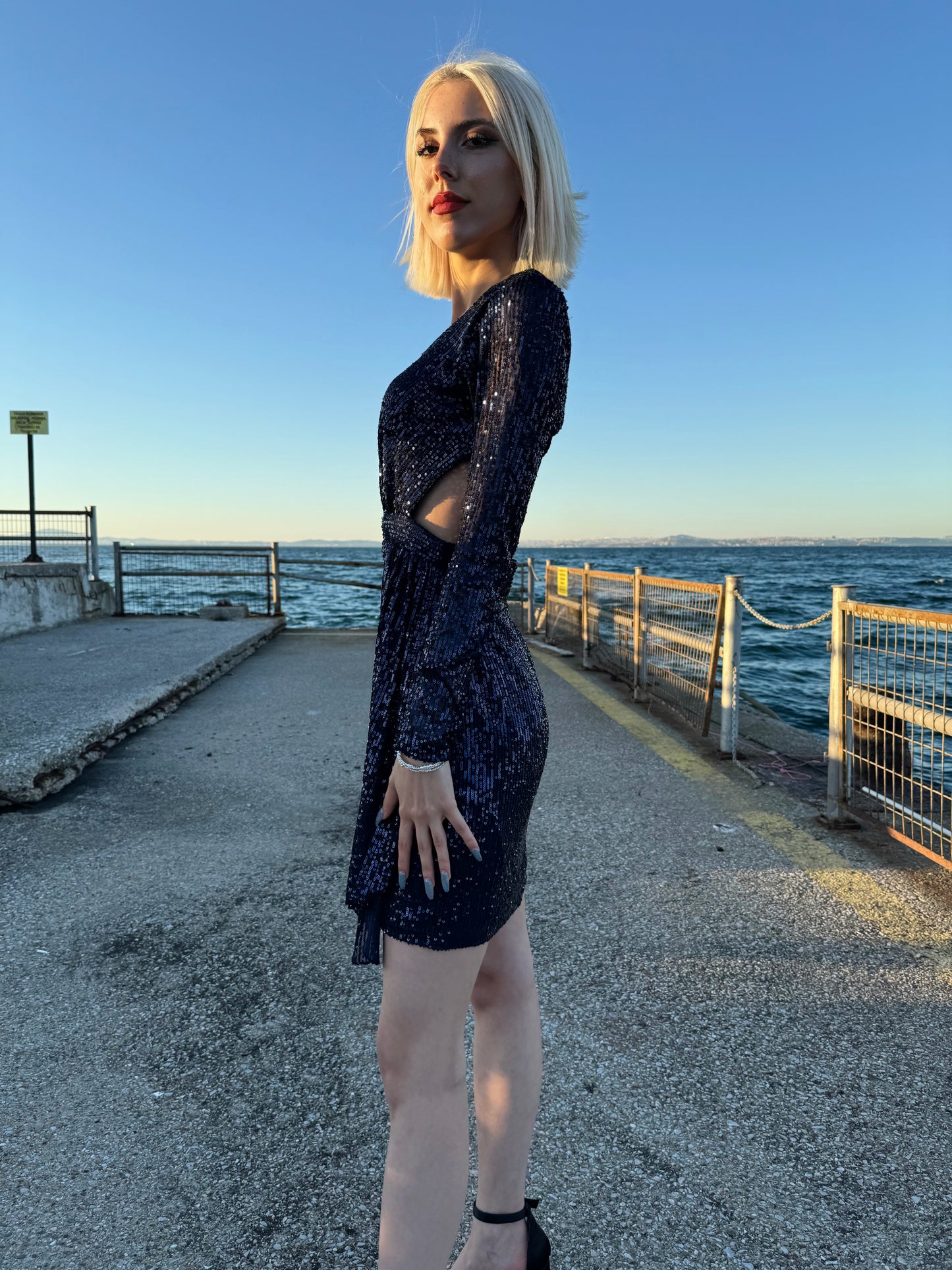 Midnight Elegance Cocktail Dress